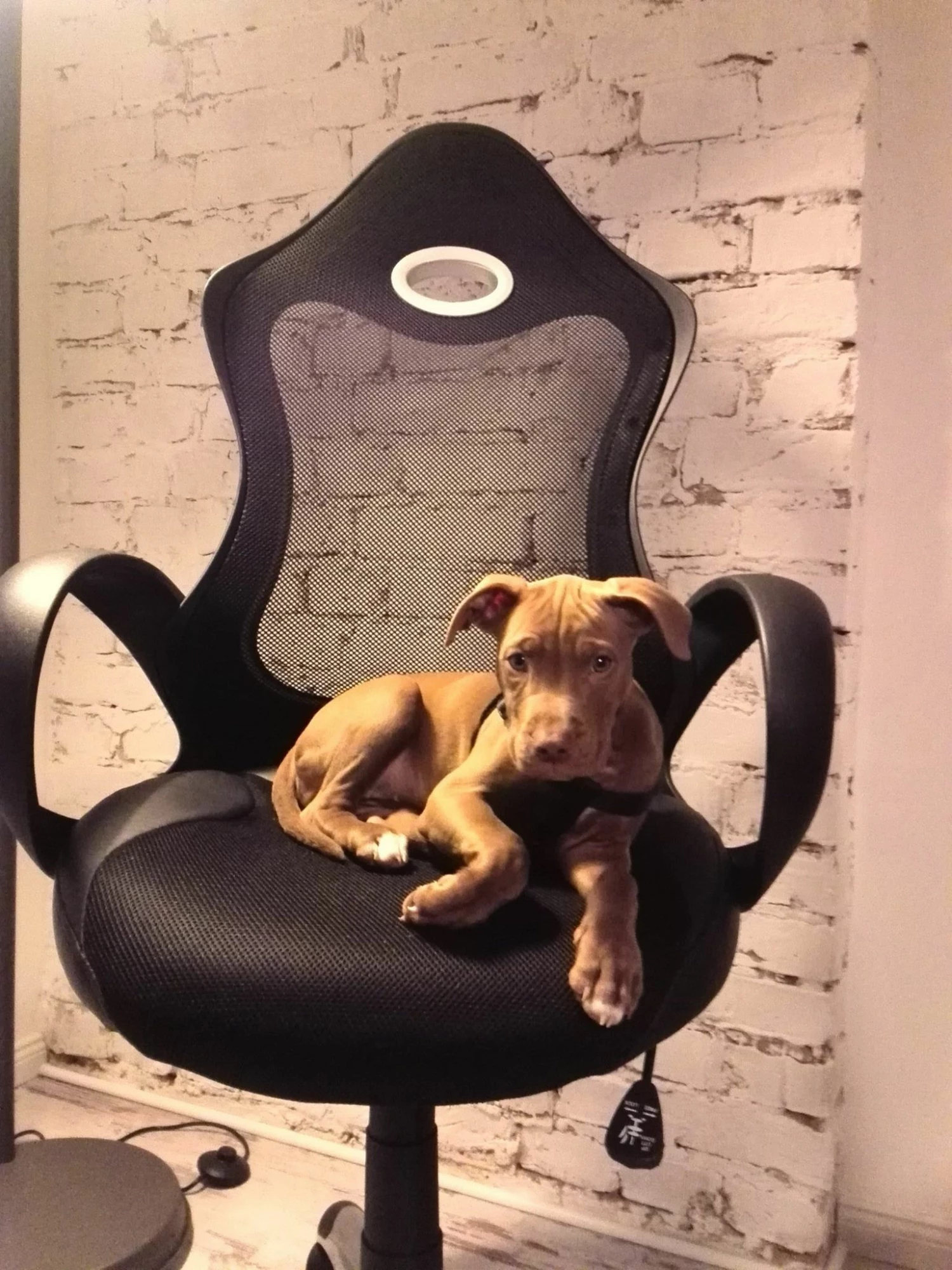 Bürostuhl Schwarz Wippfunktion ICHAIR – Bild 3